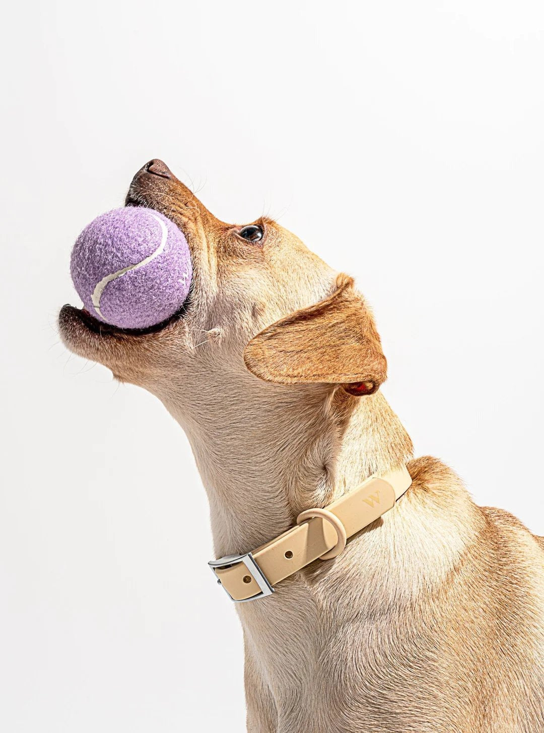 Tennis Balls - Small - Lilac (4 CT)