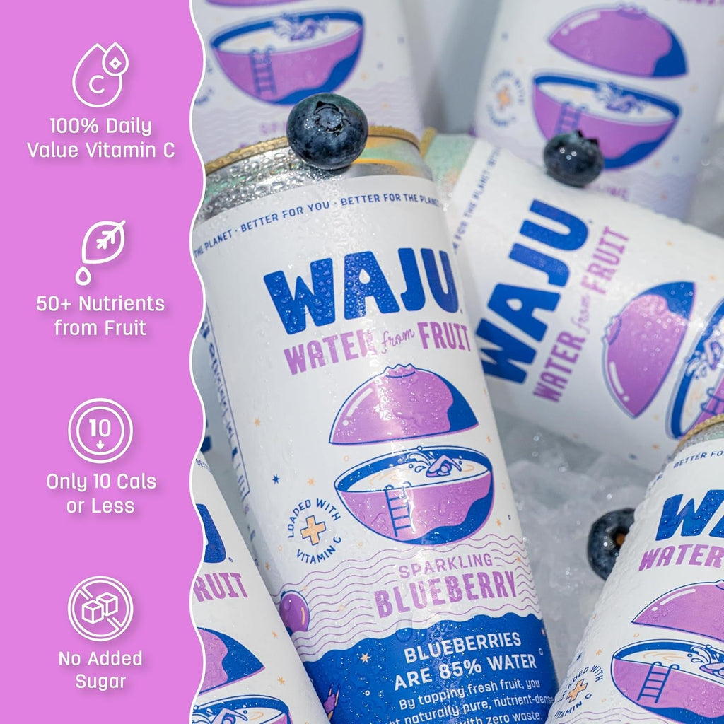 Blueberry Sparkling Fruit Water (12 Pack)