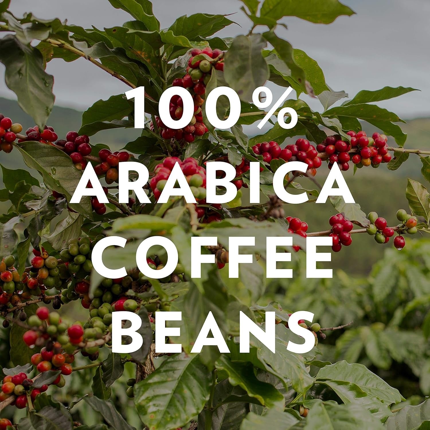 Dark Roast Ground Coffee