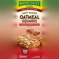 Soft Baked Oatmeal Squares, Cinnamon Brown Sugar (34 CT)