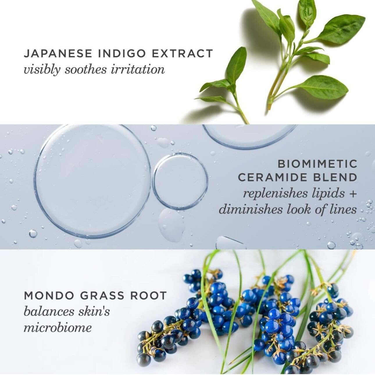 The Indigo Overnight Repair