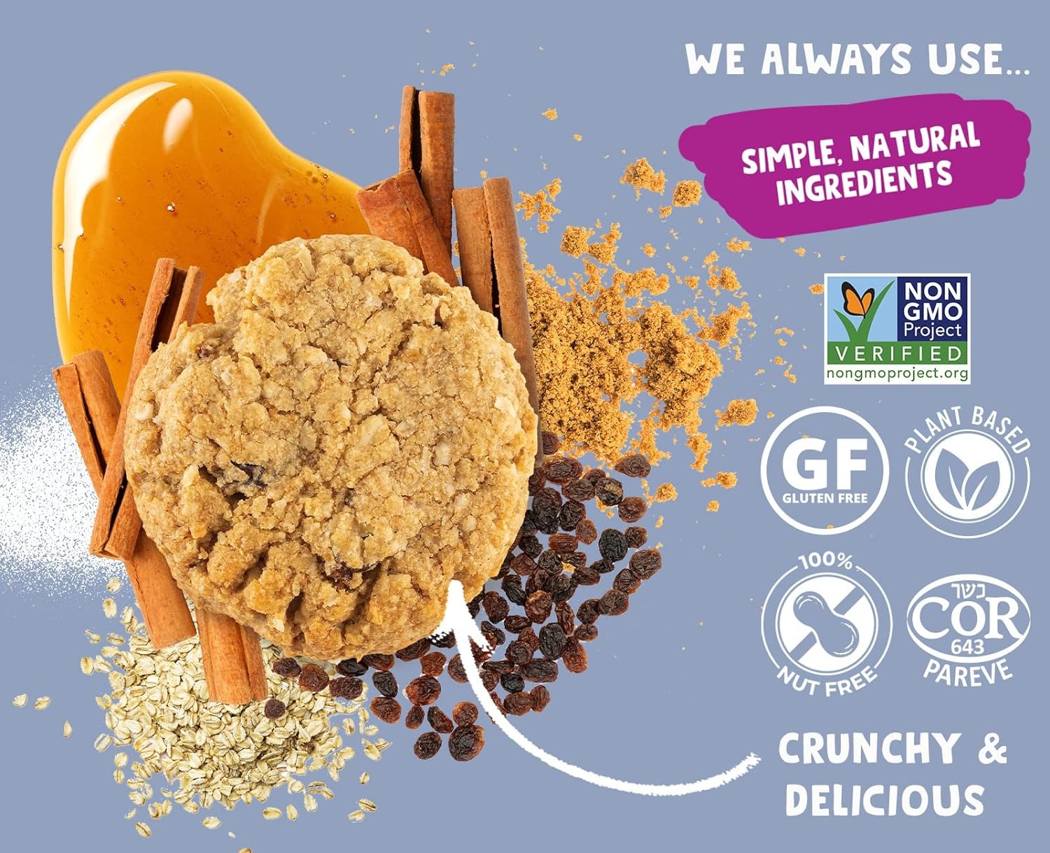 Oatmeal Raisin Cookie