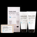 No. 203 Best Sellers Kit