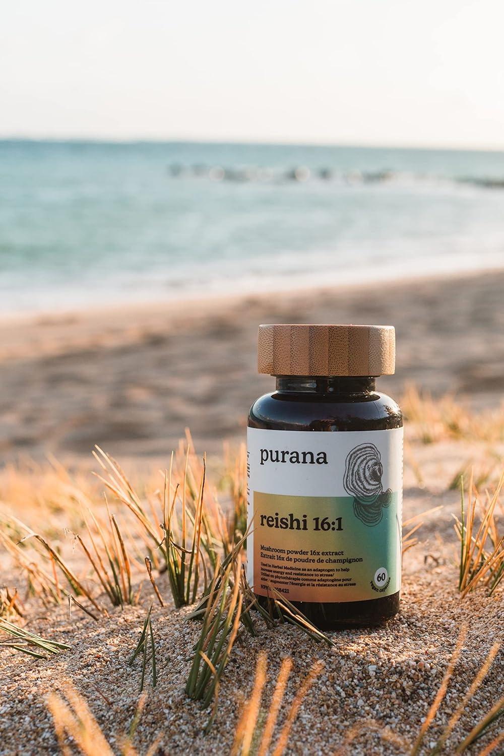 Reishi 16:1 Extract (60 Capsules)
