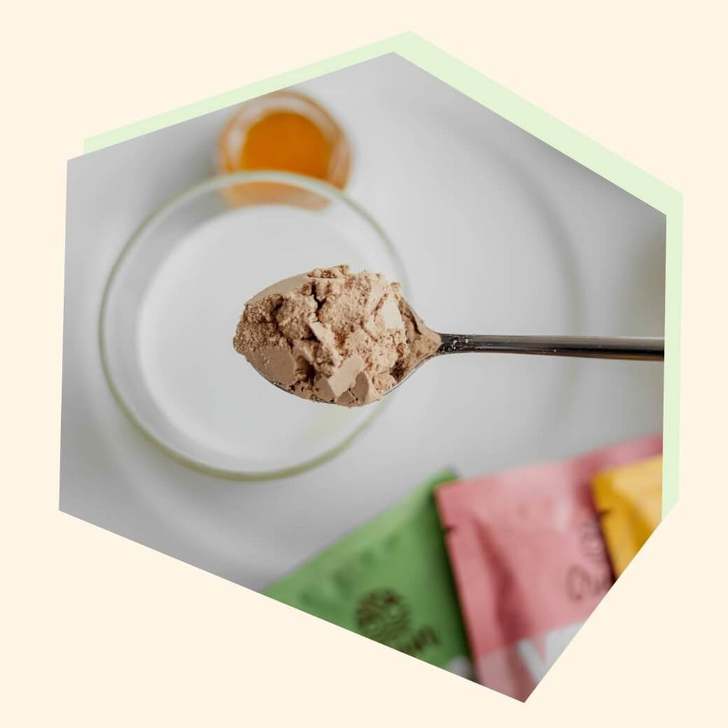 Organic Plant Based Natural Unsweetened Protein Powder