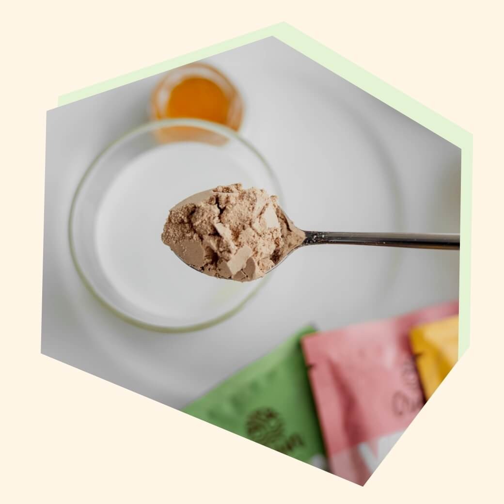 Organic Plant Based Natural Unsweetened Protein Powder