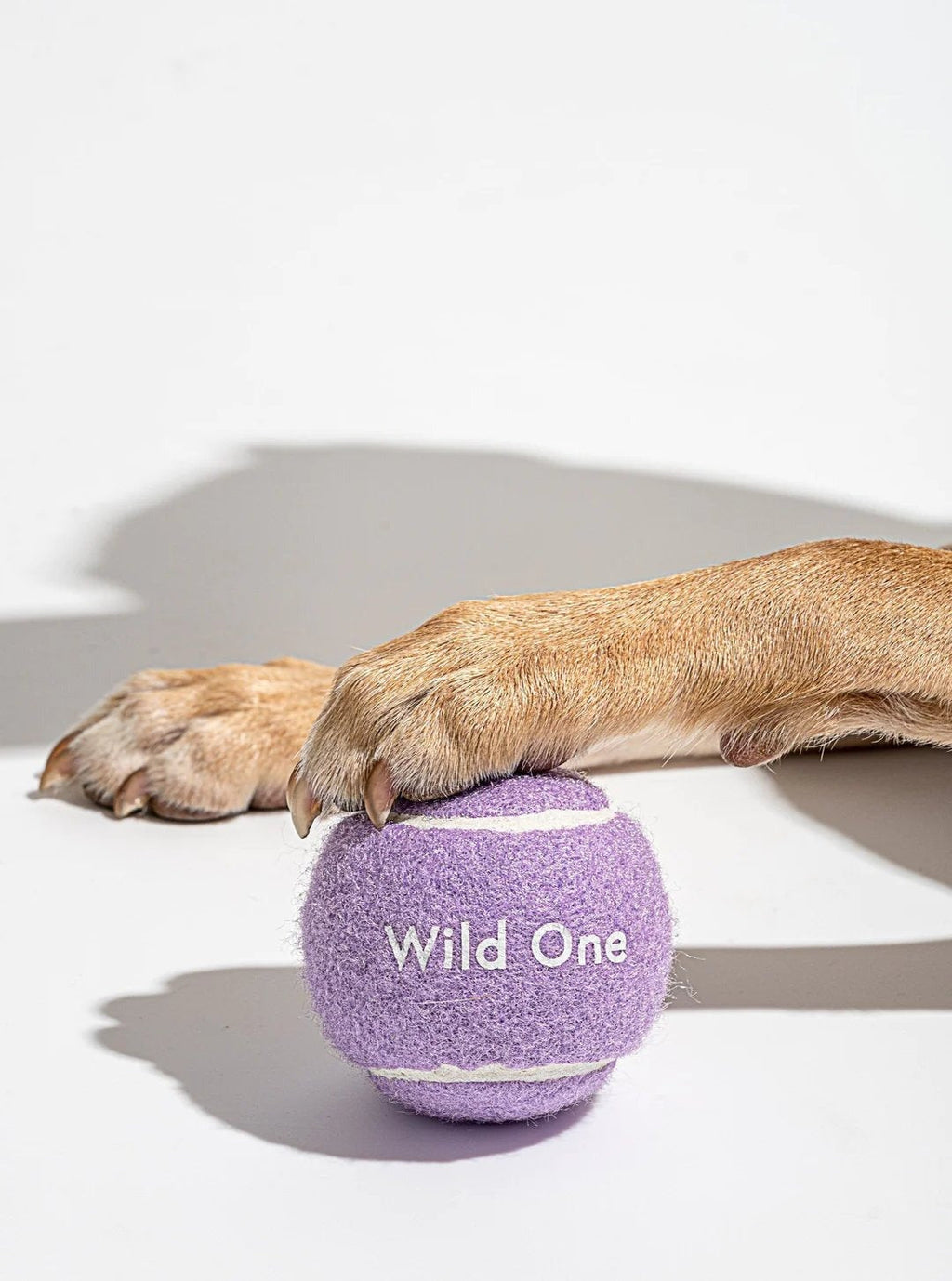 Tennis Balls - Small - Lilac (4 CT)