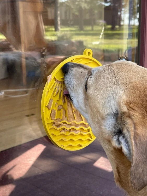 Sun N' Sea – Durable Dog Lick Mat Feeder w/ Suction Cups - Blue