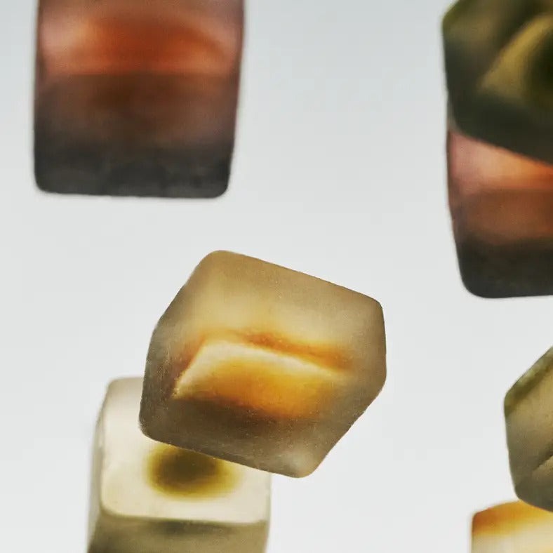 Sleep Mushroom Gummy Delights - White Tea