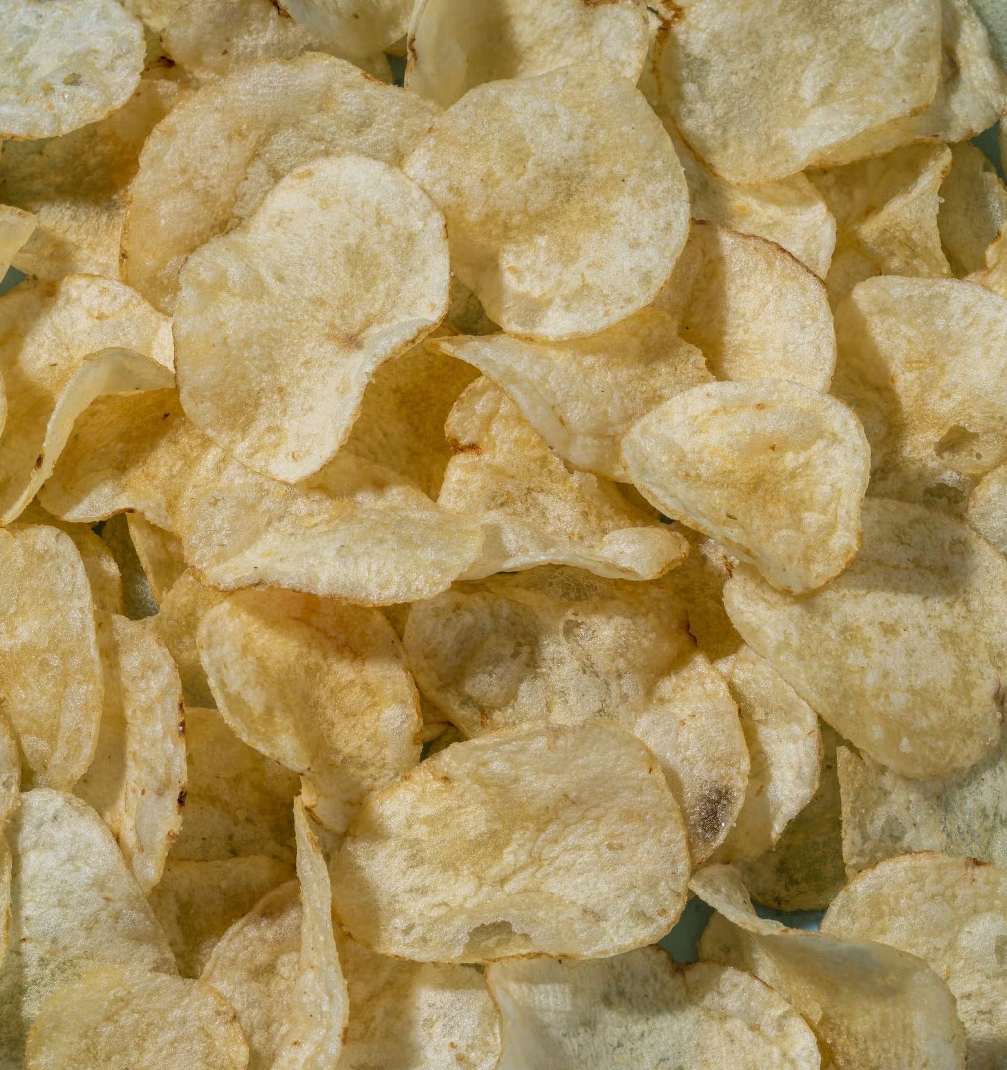 Sea Salt Potato Chips