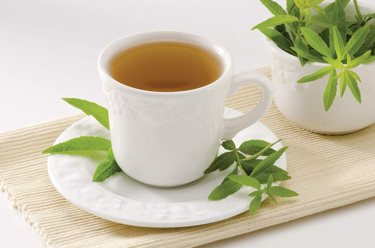 Unbleached Tea Bags (100 CT)