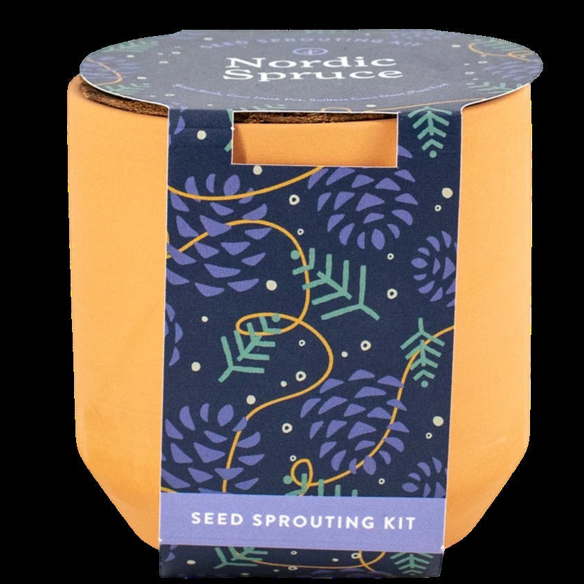 Tiny Terracotta Kit- Nordic Spruce