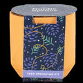 Tiny Terracotta Kit- Nordic Spruce