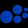 5-Piece Silicone Suction Lids Set - Blue