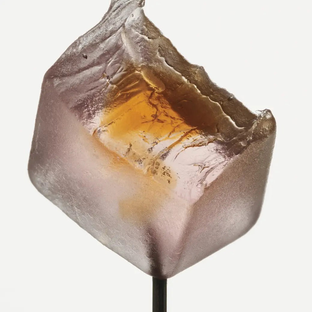 Sleep Mushroom Gummy Delights - White Tea