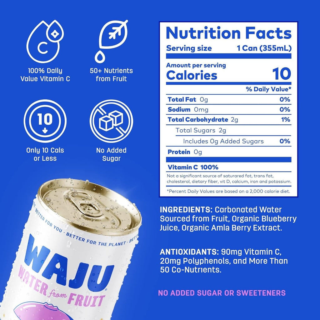 Blueberry Sparkling Fruit Water (12 Pack)