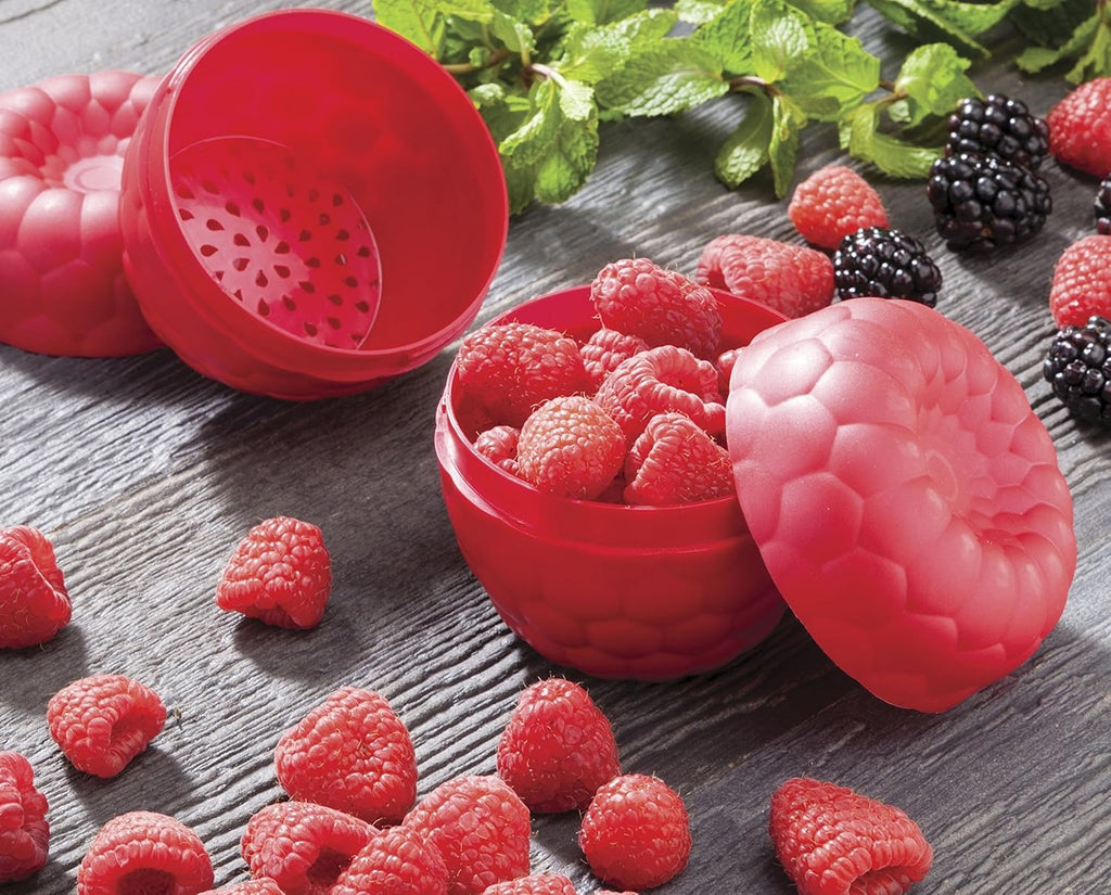 Raspberry Keeper Storage Container