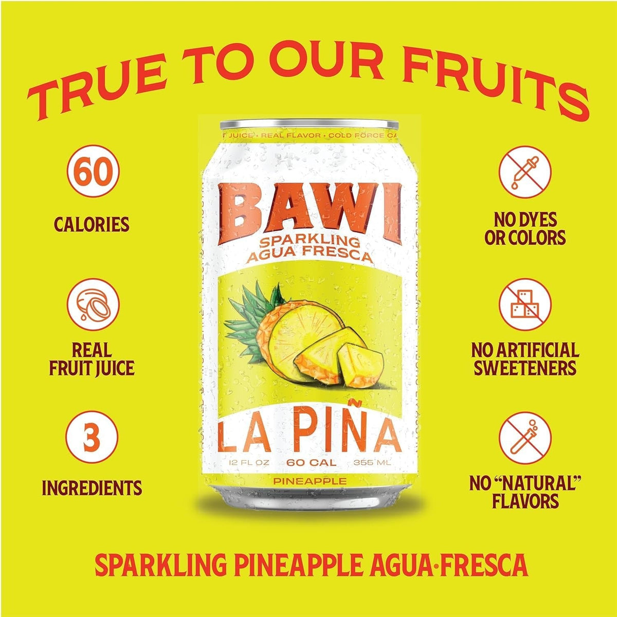 Sparkling Agua Fresca Variety (4 Pack)
