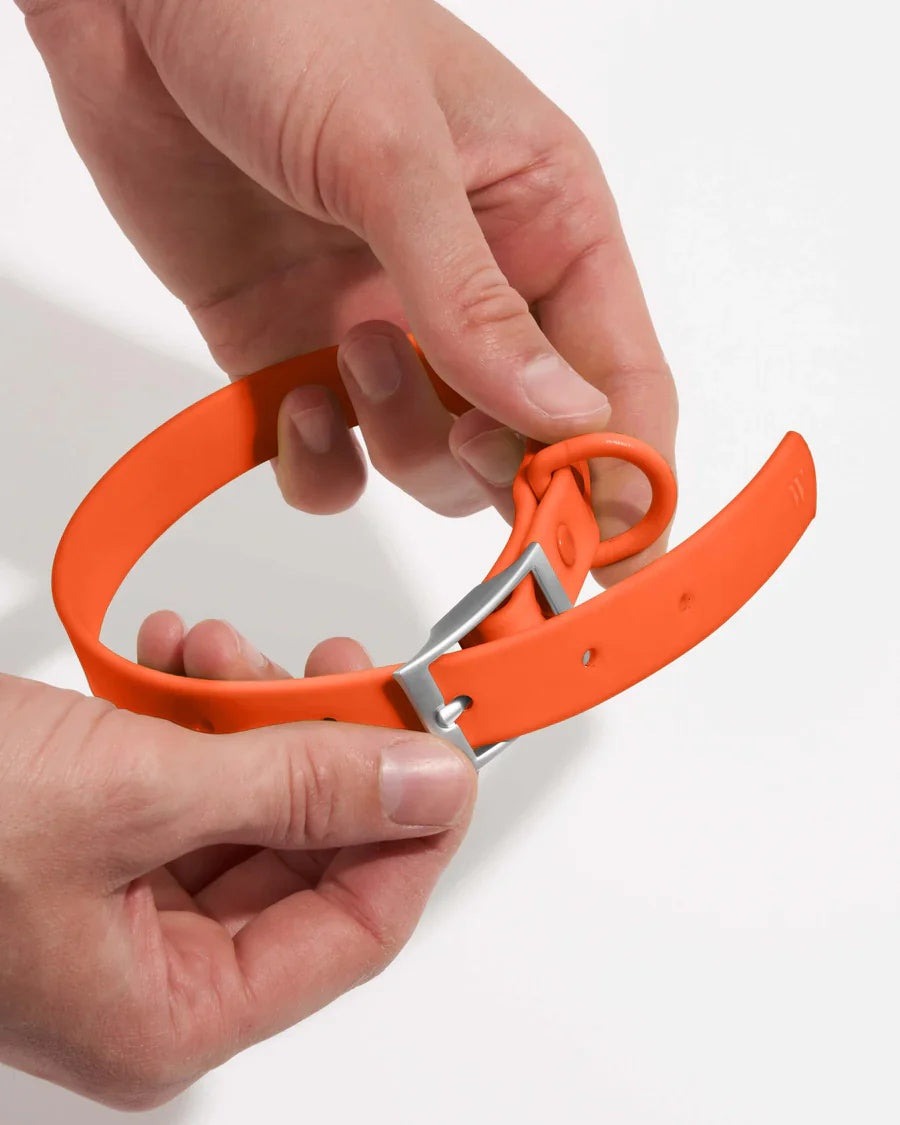 Collar - Large - Blaze