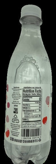 Strawberry Kiwi Infused Sparkling Water