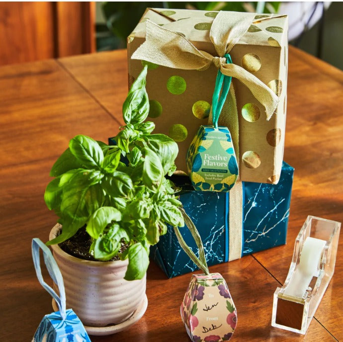 Seed Salutation - Basil