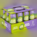 Kombucha Infused Sparkling Water Key Lime (12 Pack)