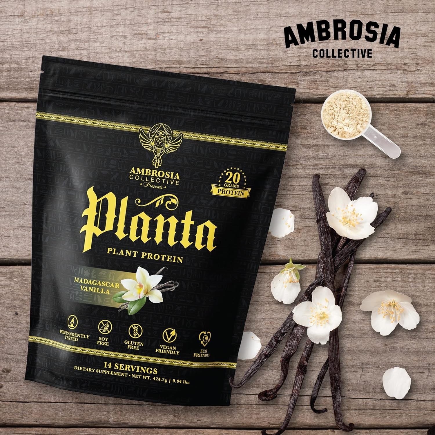 Vanilla Plant Protein