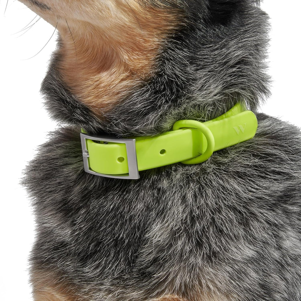 Collar X Large - Limeade