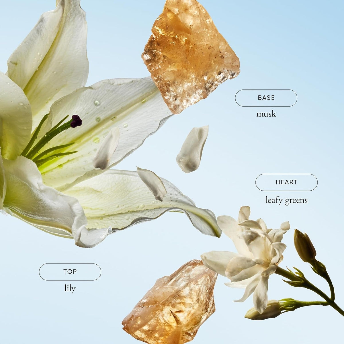 Pure Grace Hydrating Shower Gel