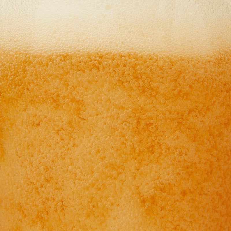 Non-Alcoholic Kingston Golden Pilsner (6 CT)