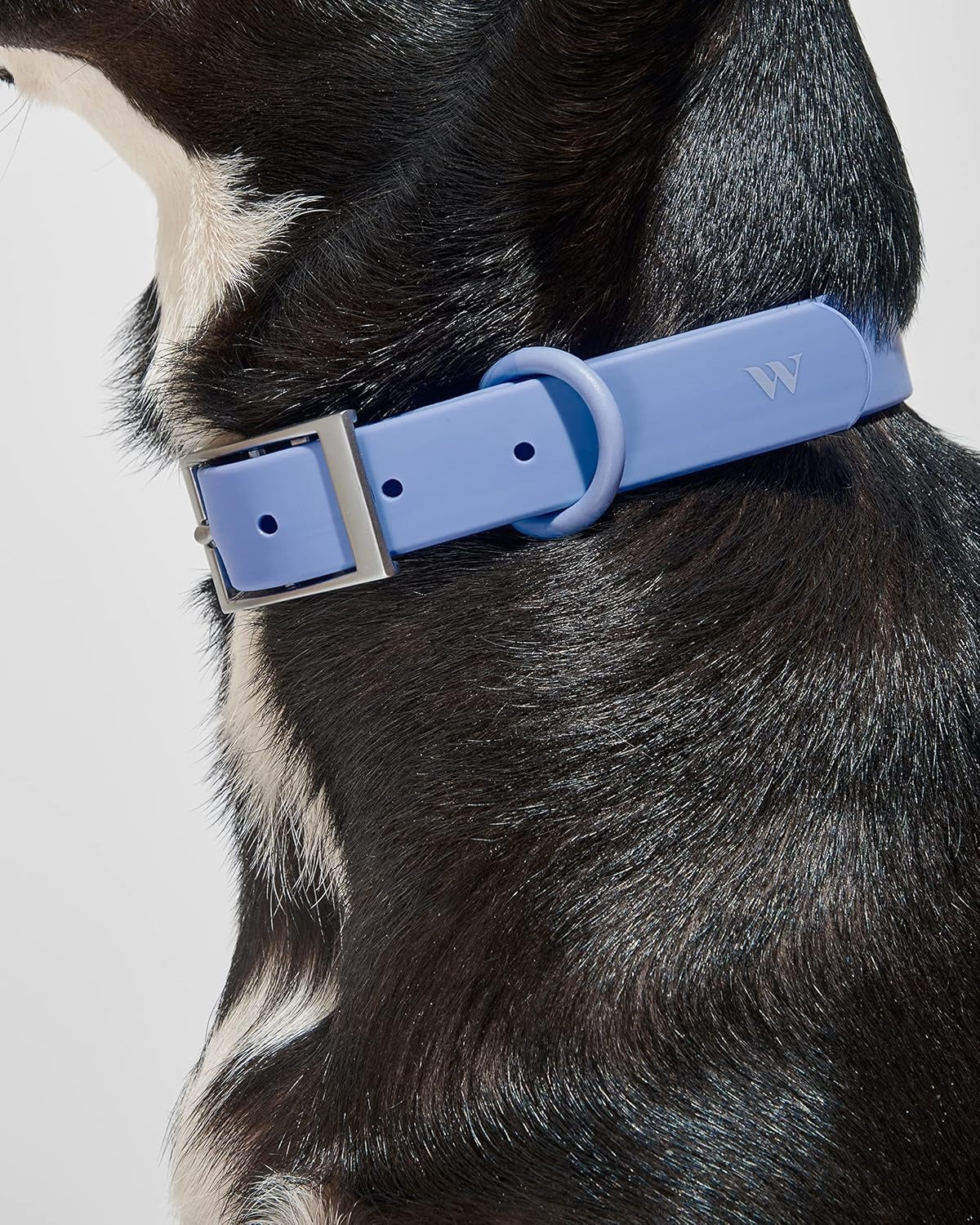 Collar - Extra Small - Moonstone