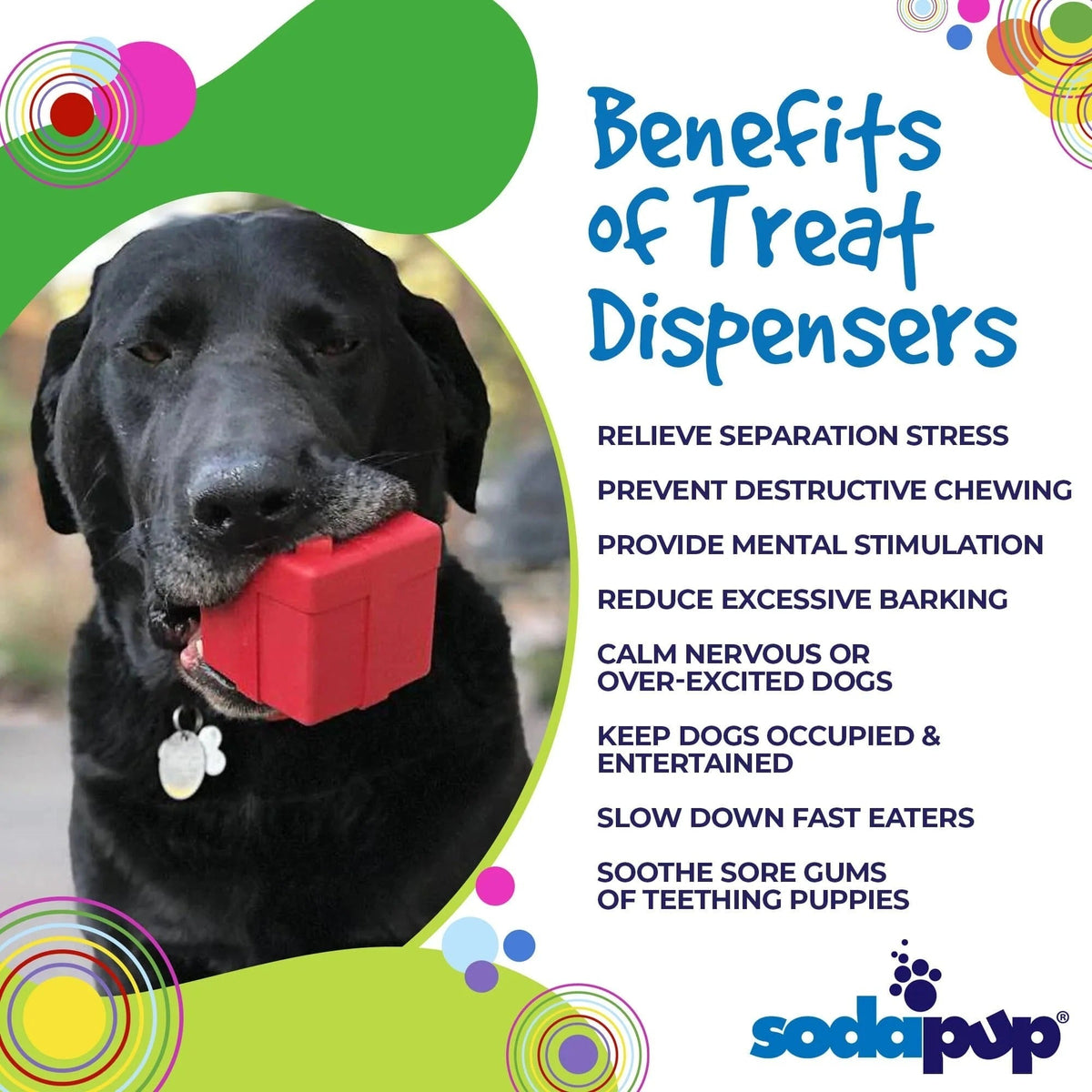 Gift Box Chew Toy & Treat Dispenser - Medium - Red