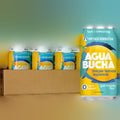 Organic Kombucha Infused Sparkling Water Meyer Lemon (12 Pack)