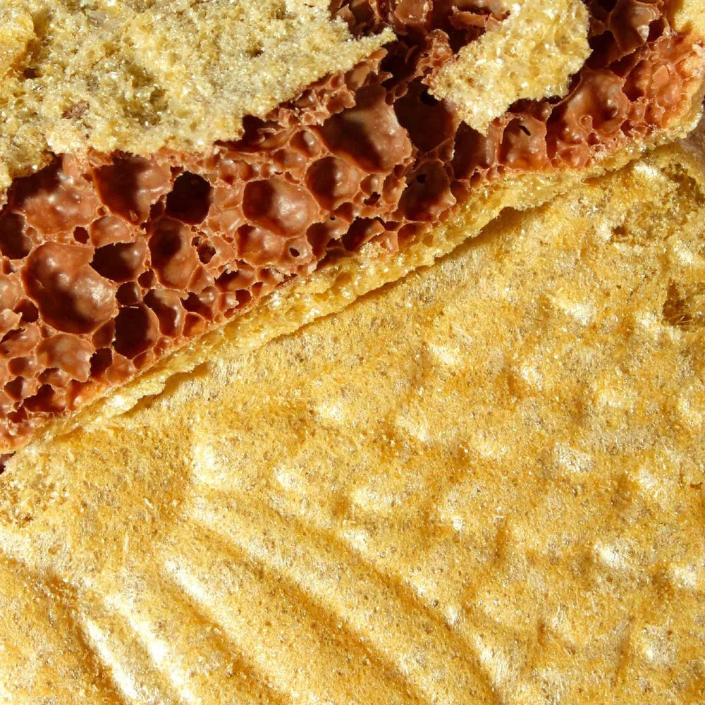 Pukupuku Tai Fish-Shaped Chocolate Wafer