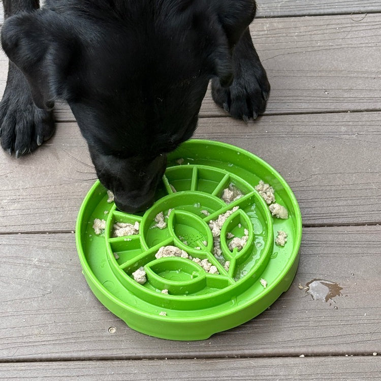 Garden Design eTray Enrichment Shallow Slow Feeder Dog Bowl - Green