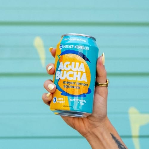Organic Kombucha Infused Sparkling Water Meyer Lemon (12 Pack)