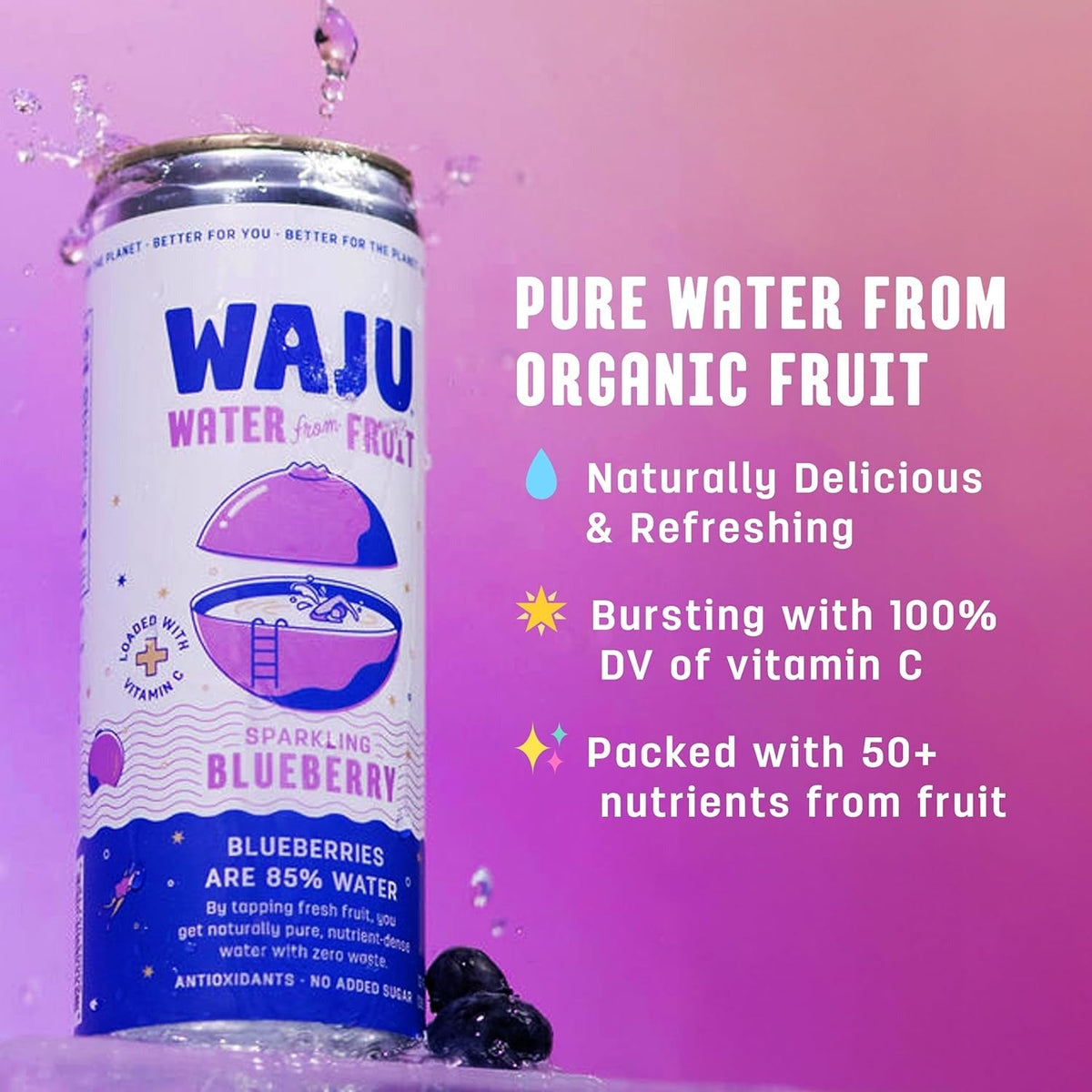 Blueberry Sparkling Fruit Water (12 Pack)