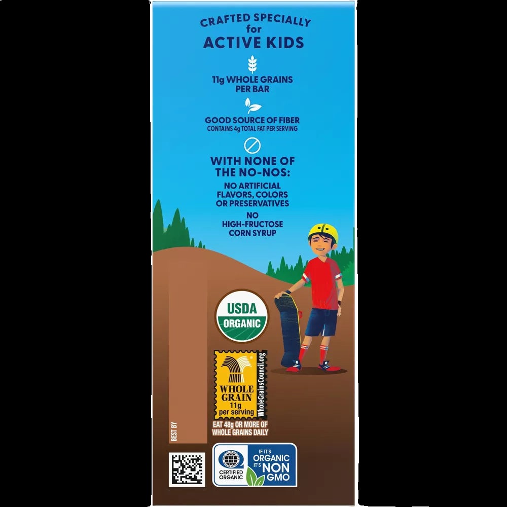 Organic Chocolate Brownie Snack Bars (12 Pack)