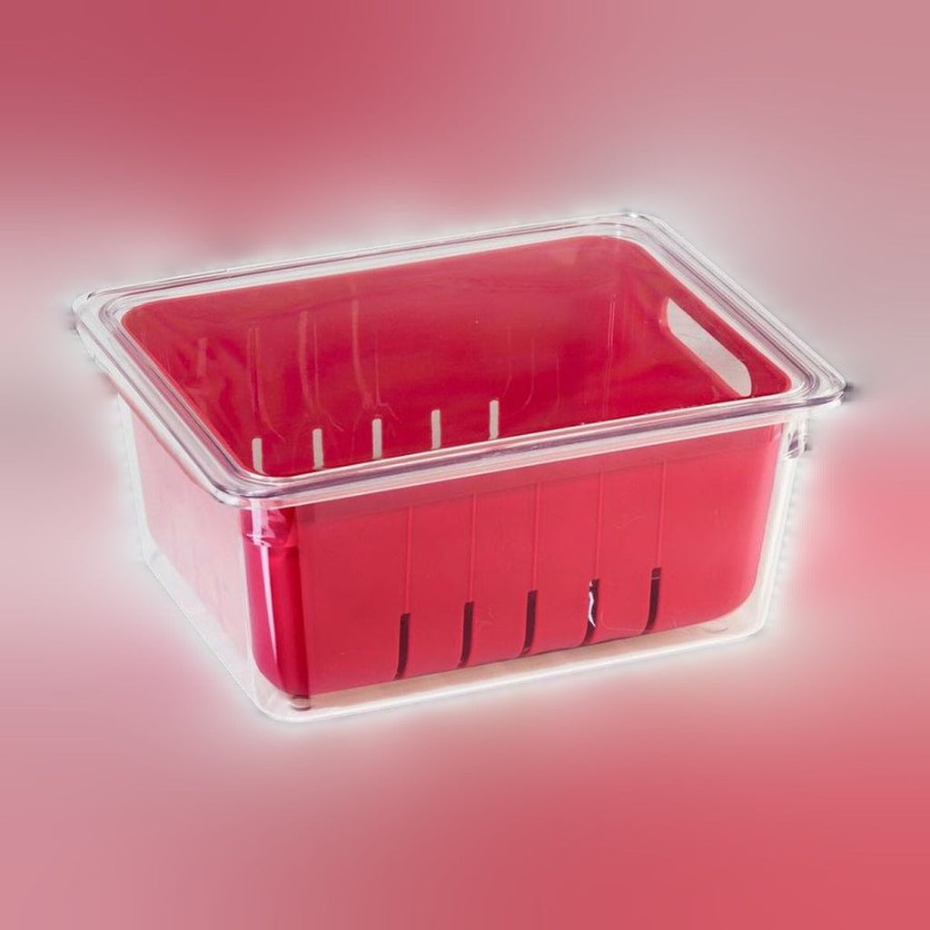 Berry Bin 8.75" x 6.75" - Single Strainer Basket