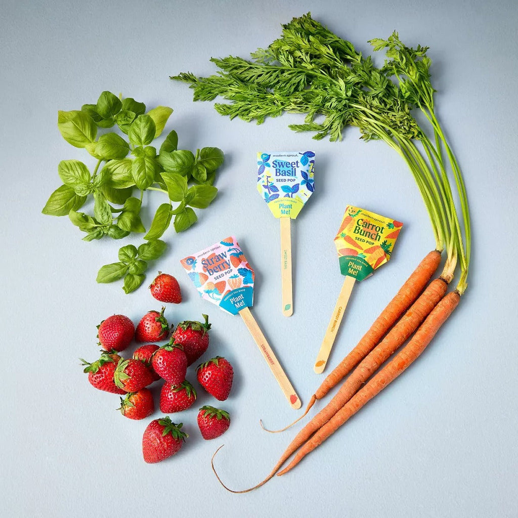 Carrot Seed Pop - Bullseye