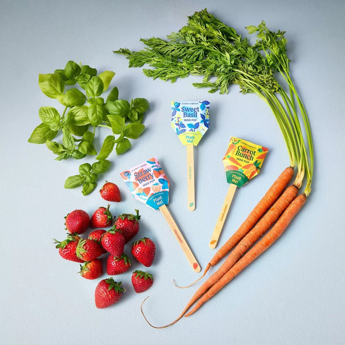 Carrot Seed Pop - Bullseye