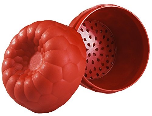 Raspberry Keeper Storage Container