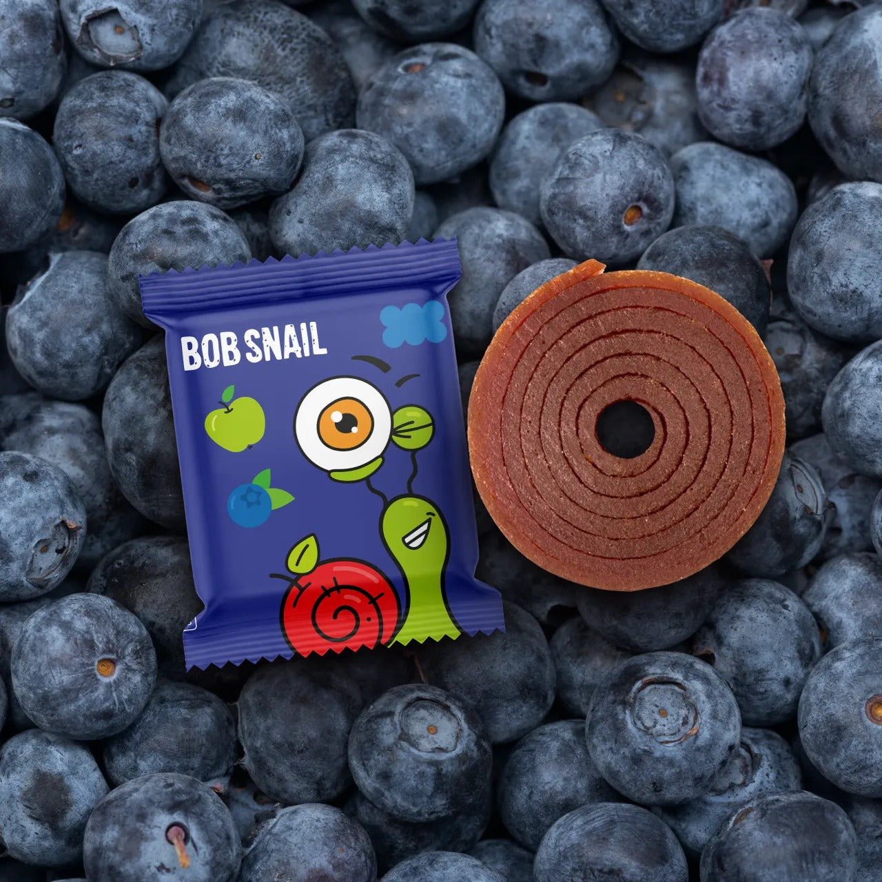Fruit Rolls Apple-Blueberry (10 CT)