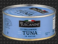 Solid Light Yellowfin Tuna in Water