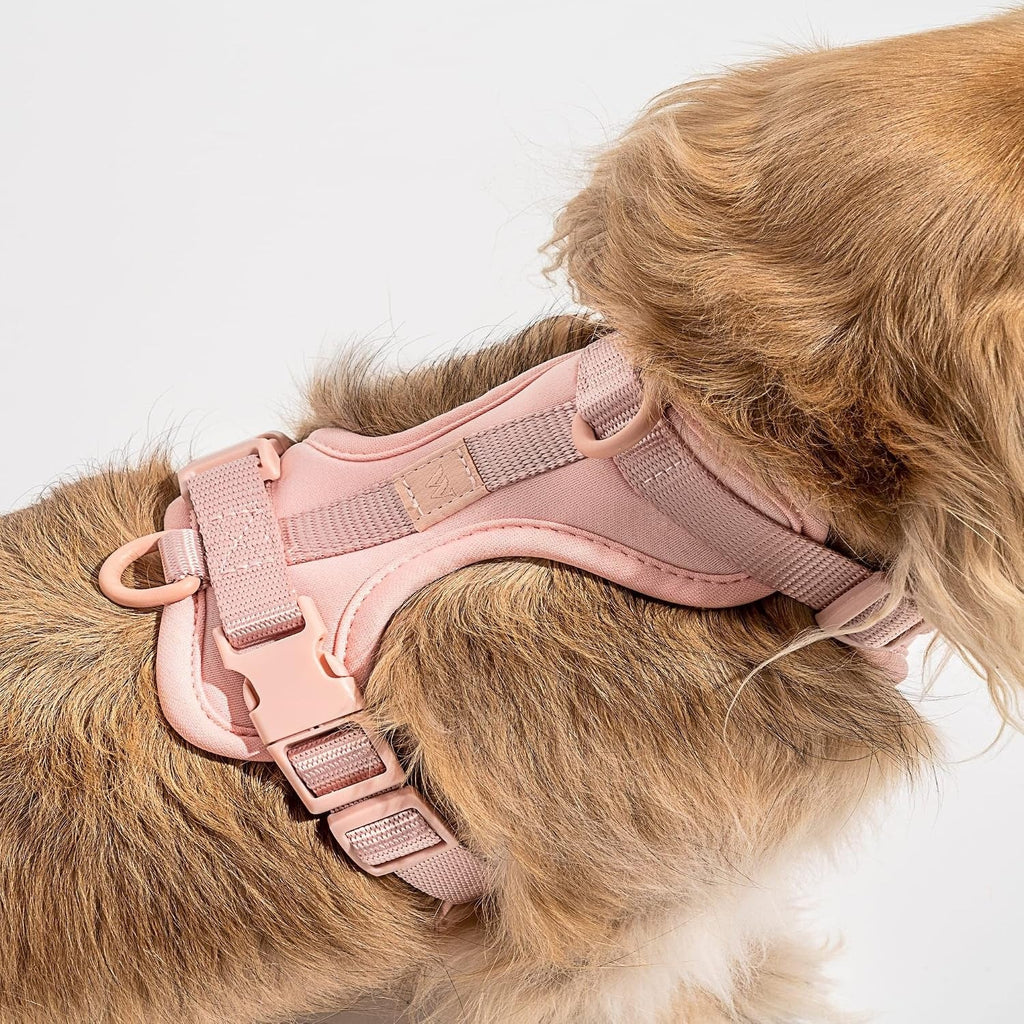 Extra Small Harness - Blush
