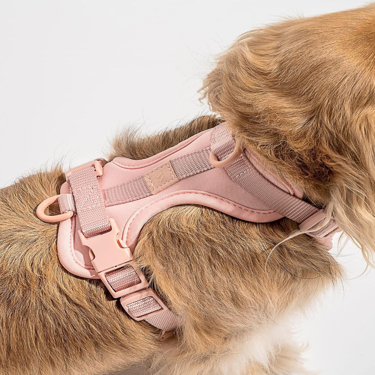 Extra Small Harness - Blush