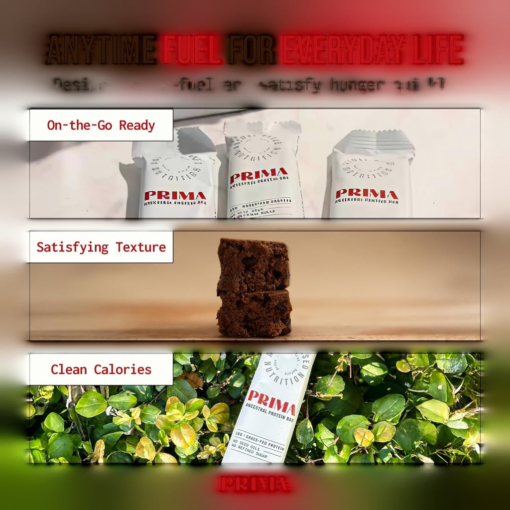 Ancestral Protein Bar - Cacao (7 Pack)