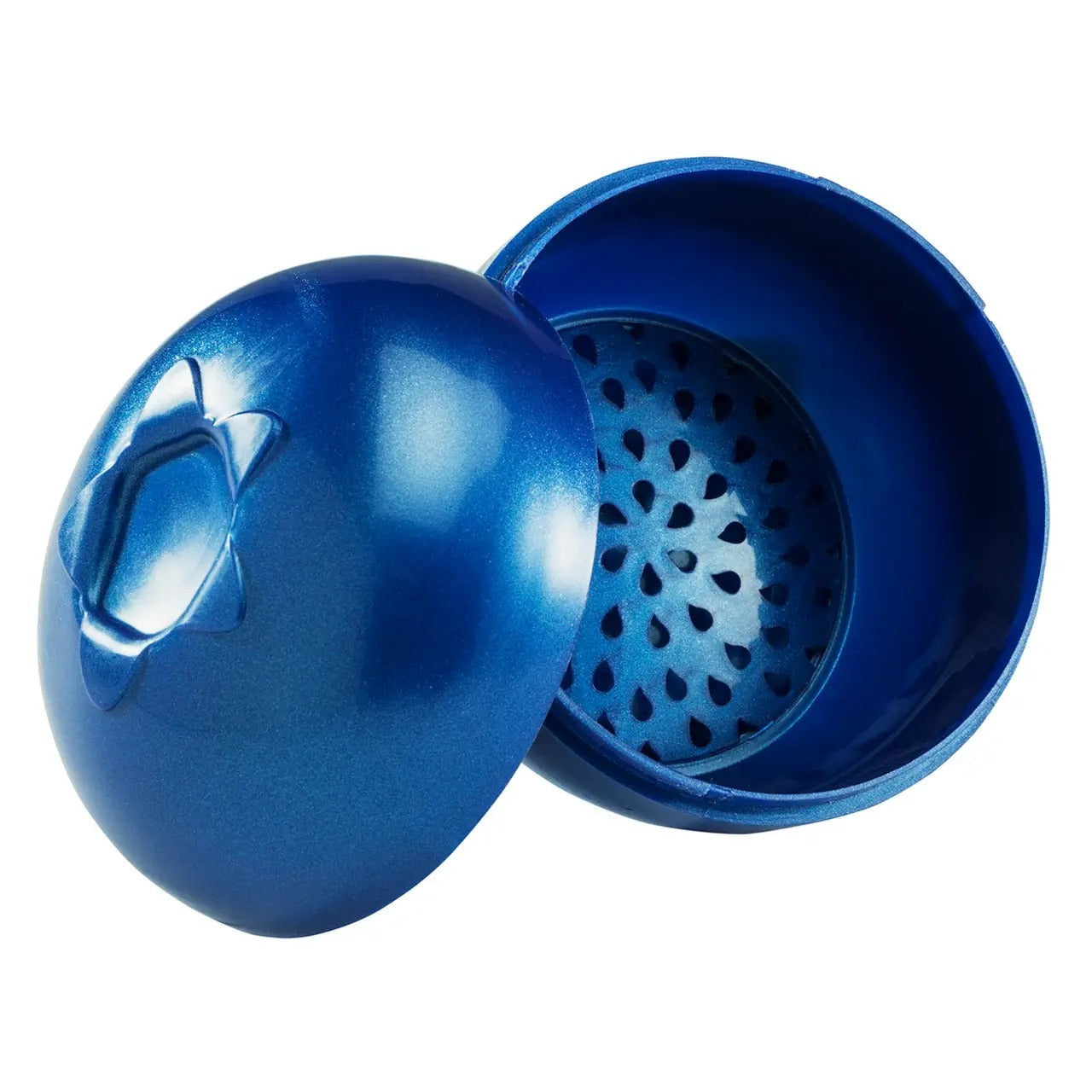 Blueberry Keeper Storage Container