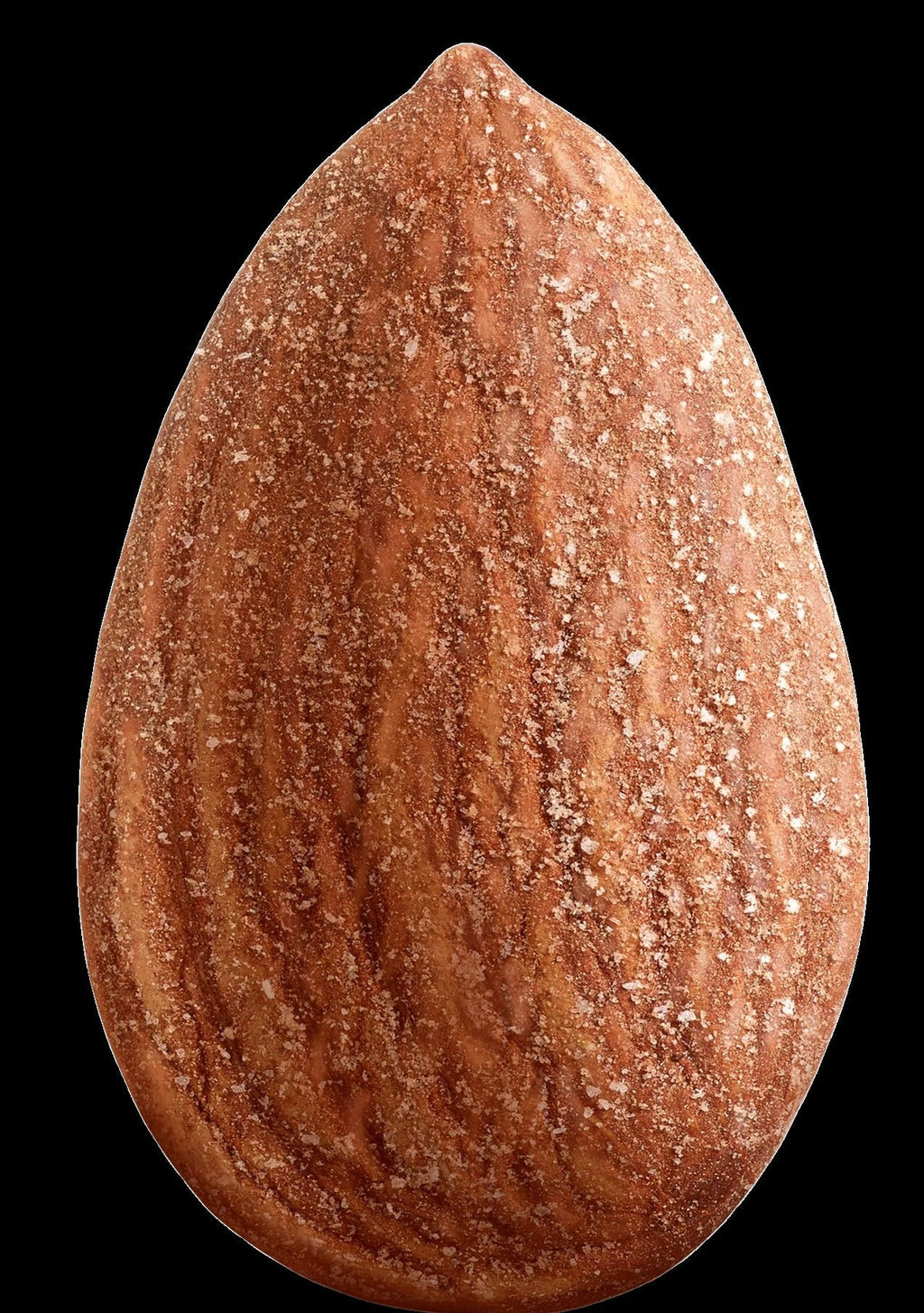 Dry Roasted Sea Salt Almonds