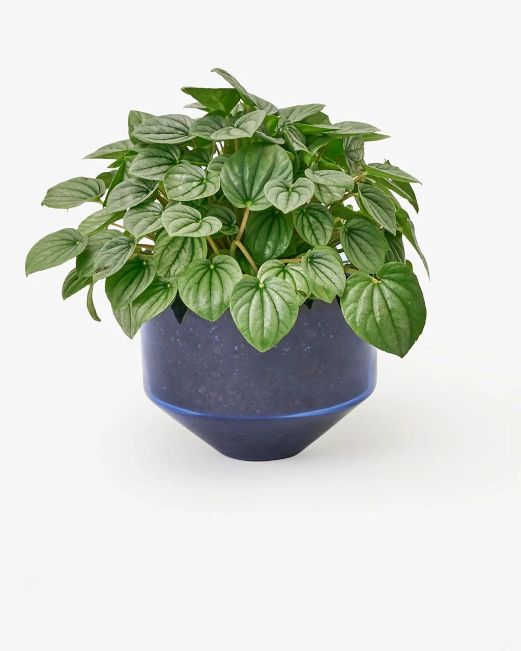 Model Three Planter - Blue